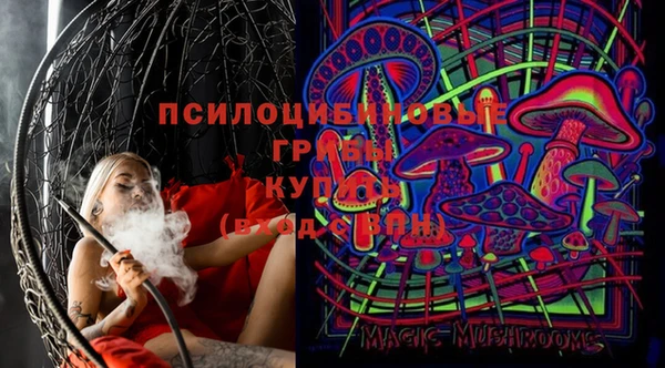 мдма Богородицк