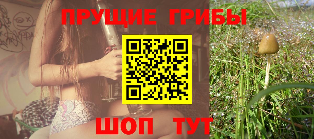 Псилоцибиновые грибы Magic Shrooms  Вход с VPN  Северск 